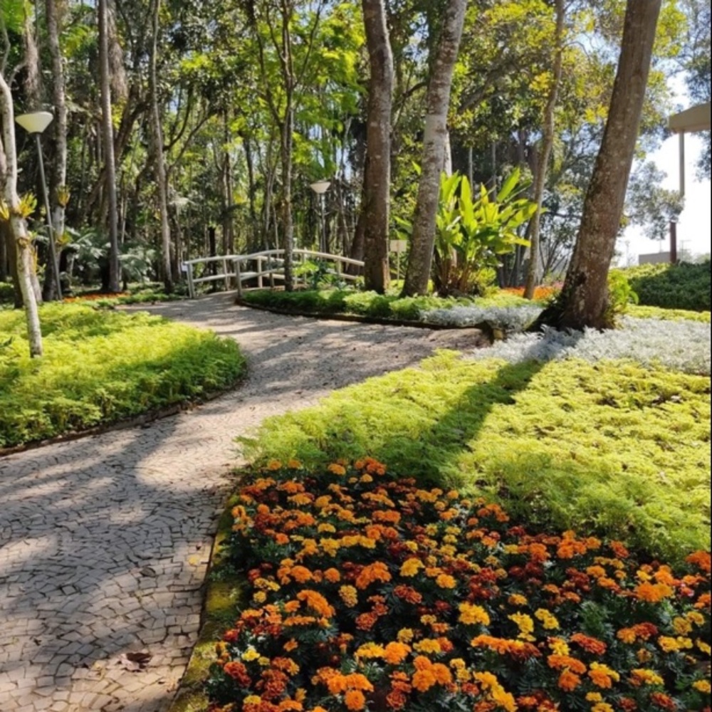 😊Meet your Posher, Ana☺️